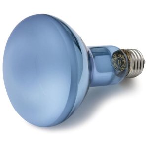 Full Spectrum Incandescent Reflector Light Bulbs  |  Artist Lamps Artist Lamps Artist Lamps