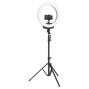 Ring Lights with Floor Stands  |  Photography Studio Lighting and Equipment Art Studio Furniture Photography Studio Lighting & Equipment